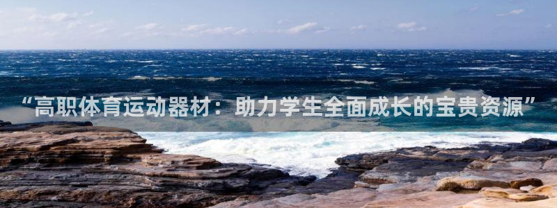 哈哈体育十年