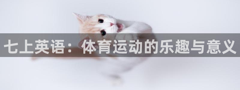 哈哈体育