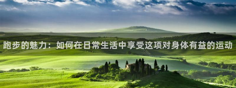 哈哈体育十年