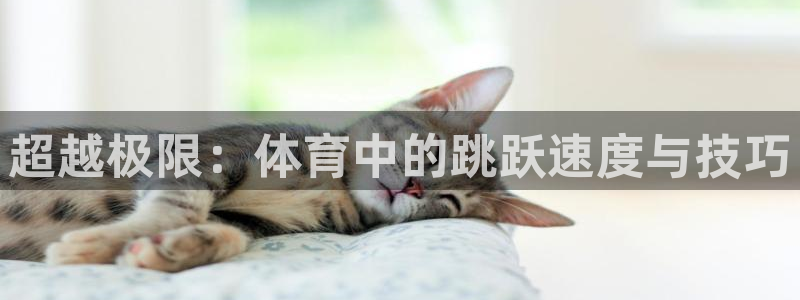 哈哈体育十年