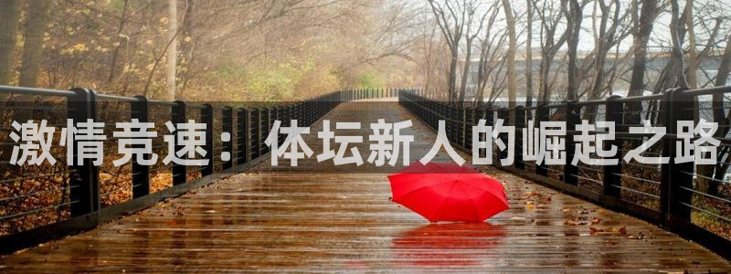 哈哈体育十年