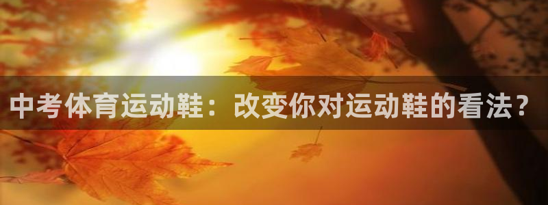 哈哈体育十年