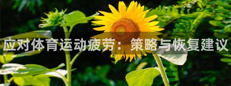 哈哈体育下载