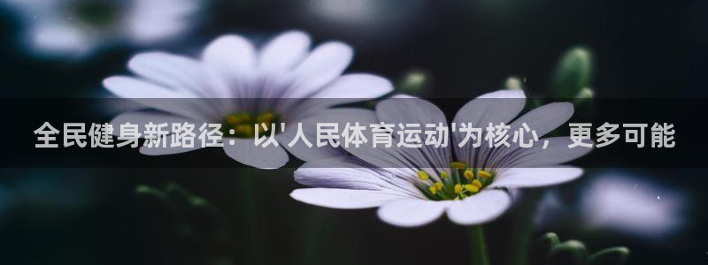 哈哈体育