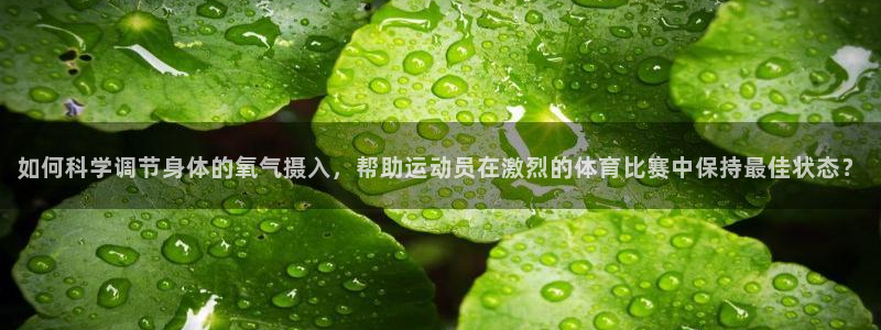 哈哈体育下载