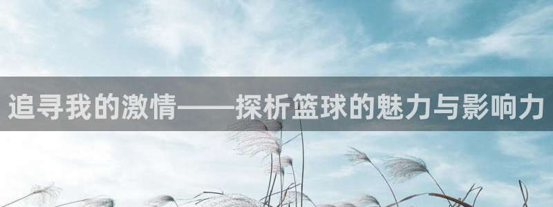 哈哈体育十年