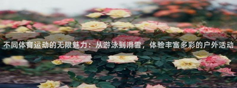 哈哈体育下载