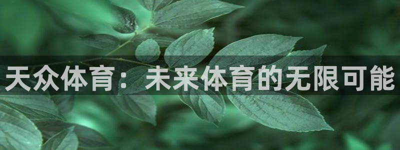 哈哈体育十年