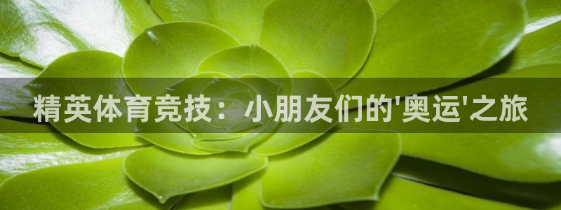 哈哈体育