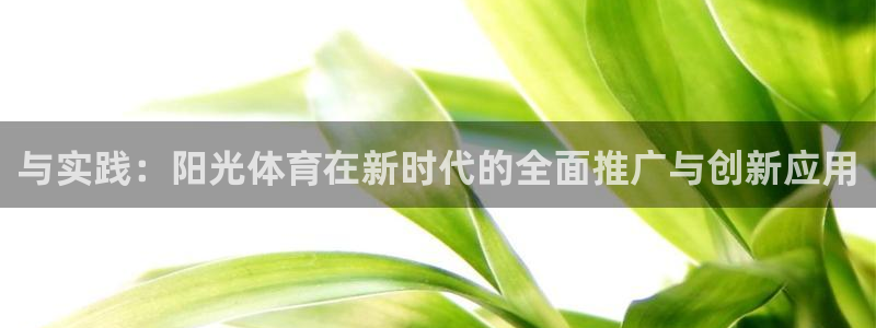 哈哈体育十年