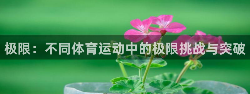 哈哈体育