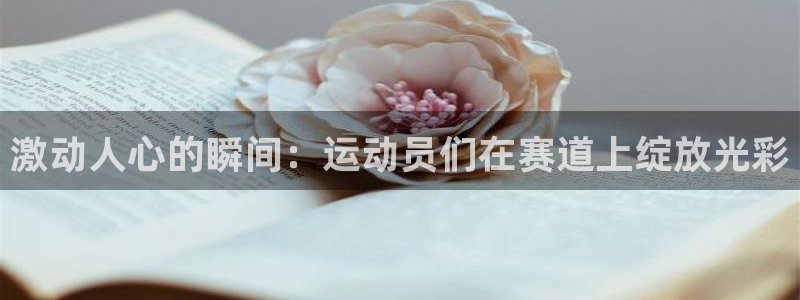 哈哈体育十年