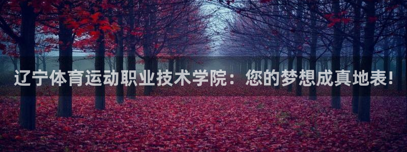 哈哈体育