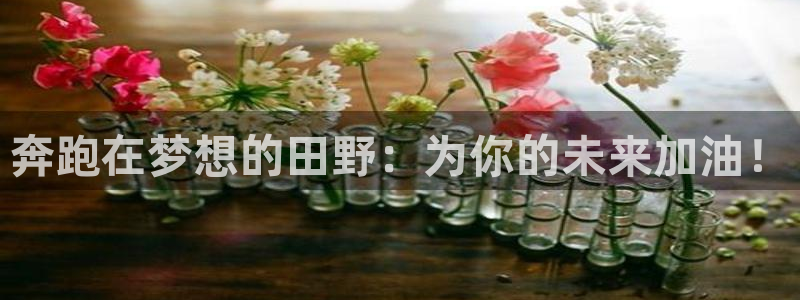 哈哈体育十年